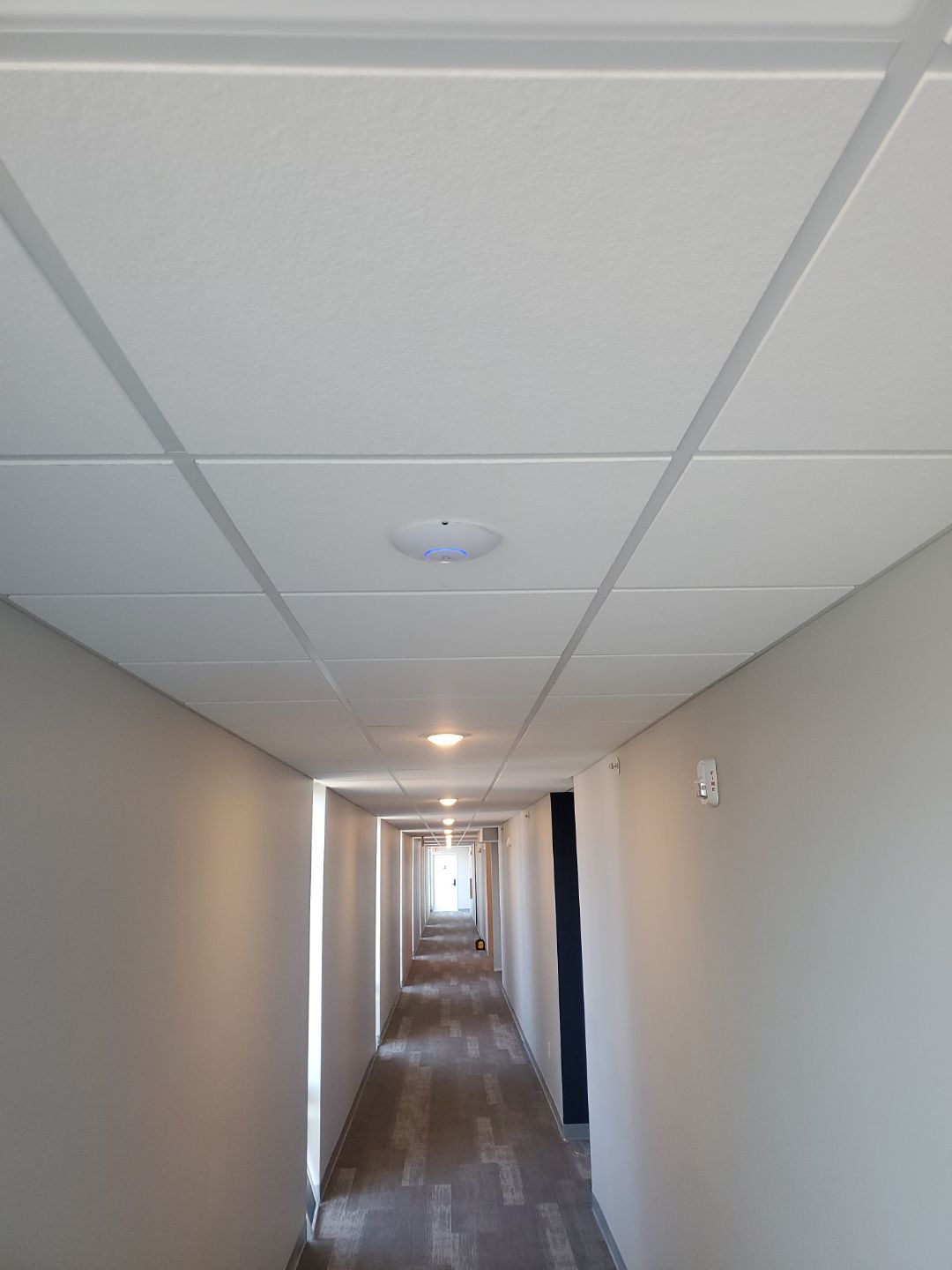 Access Point